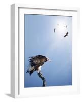 Conceptual - Vultures Waiting to Prey on Innocent Victims (Digital Composite)-Johan Swanepoel-Framed Photographic Print