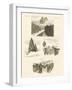 Concerning the Ascent of Mount Blanc-null-Framed Giclee Print