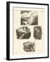 Concerning the Ascent of Mount Blanc-null-Framed Giclee Print