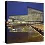 Concert Hall and Conference Centre Named Harpa, Reykjavik, Capital Region, Iceland-Rainer Mirau-Stretched Canvas