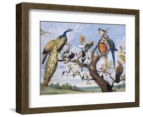 Concert of Birds, by Paul De Vos (Circa 1591-1678), Netherlands, 17th Century-Paul de Vos-Framed Giclee Print