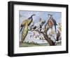 Concert of Birds, by Paul De Vos (Circa 1591-1678), Netherlands, 17th Century-Paul de Vos-Framed Giclee Print