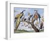 Concert of Birds, by Paul De Vos (Circa 1591-1678), Netherlands, 17th Century-Paul de Vos-Framed Giclee Print