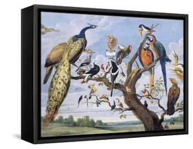 Concert of Birds, by Paul De Vos (Circa 1591-1678), Netherlands, 17th Century-Paul de Vos-Framed Stretched Canvas