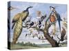 Concert of Birds, by Paul De Vos (Circa 1591-1678), Netherlands, 17th Century-Paul de Vos-Stretched Canvas