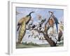 Concert of Birds, by Paul De Vos (Circa 1591-1678), Netherlands, 17th Century-Paul de Vos-Framed Giclee Print