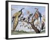 Concert of Birds, by Paul De Vos (Circa 1591-1678), Netherlands, 17th Century-Paul de Vos-Framed Giclee Print