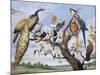 Concert of Birds, by Paul De Vos (Circa 1591-1678), Netherlands, 17th Century-Paul de Vos-Mounted Giclee Print