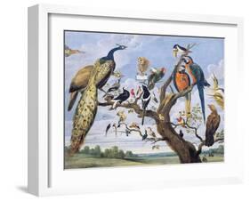 Concert of Birds, by Paul De Vos (Circa 1591-1678), Netherlands, 17th Century-Paul de Vos-Framed Giclee Print