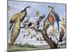 Concert of Birds, by Paul De Vos (Circa 1591-1678), Netherlands, 17th Century-Paul de Vos-Mounted Giclee Print