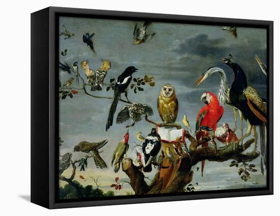 Concert of Birds-Frans Snyders-Framed Stretched Canvas