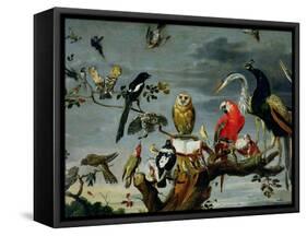 Concert of Birds-Frans Snyders-Framed Stretched Canvas