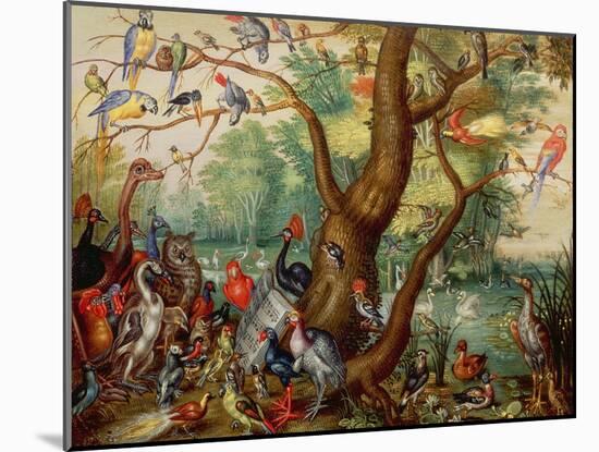 Concert of Birds-Jan Van, The Elder Kessel-Mounted Giclee Print