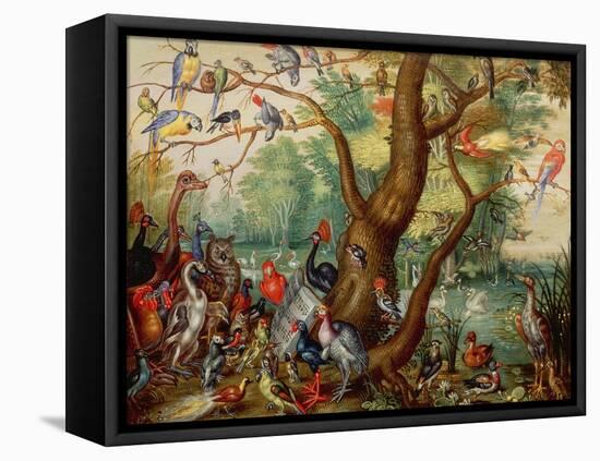 Concert of Birds-Jan Van, The Elder Kessel-Framed Stretched Canvas