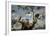 Concert of the Birds, 1629-1630, Flemish School-Frans Snyders-Framed Giclee Print