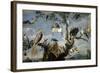 Concert of the Birds, 1629-1630, Flemish School-Frans Snyders-Framed Giclee Print