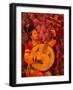 Concert of Traditional Chinese Music Instruments, Shaanxi Grand Opera House, Xi'an, China-Pete Oxford-Framed Photographic Print