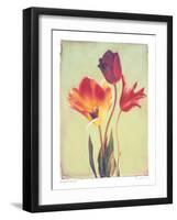 Concerto Verde II-Amy Melious-Framed Art Print