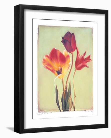 Concerto Verde II-Amy Melious-Framed Art Print