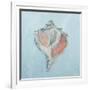 Conch and Scallop I-Ann Marie Coolick-Framed Art Print