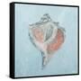 Conch and Scallop I-Ann Marie Coolick-Framed Stretched Canvas