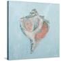 Conch and Scallop I-Ann Marie Coolick-Stretched Canvas