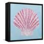 Conch and Scallop II-Ann Marie Coolick-Framed Stretched Canvas