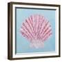 Conch and Scallop II-Ann Marie Coolick-Framed Art Print