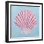 Conch and Scallop II-Ann Marie Coolick-Framed Art Print