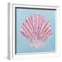 Conch and Scallop II-Ann Marie Coolick-Framed Art Print