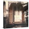 Conch Door 02-Rick Novak-Stretched Canvas