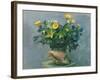 Conch & Flowers, 1989-Hans Feibusch-Framed Giclee Print