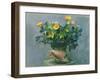 Conch & Flowers, 1989-Hans Feibusch-Framed Giclee Print