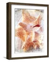 Conch I-Lisa Hill Saghini-Framed Art Print