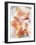 Conch I-Lisa Hill Saghini-Framed Art Print