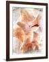 Conch I-Lisa Hill Saghini-Framed Art Print