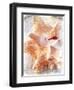 Conch I-Lisa Hill Saghini-Framed Art Print