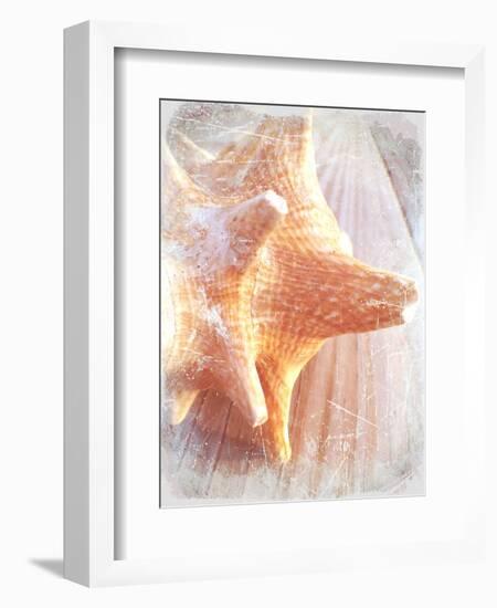 Conch II-Lisa Hill Saghini-Framed Art Print