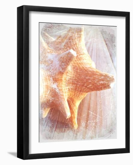 Conch II-Lisa Hill Saghini-Framed Art Print