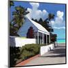 Conch Republic 01-Rick Novak-Mounted Art Print