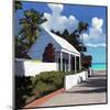 Conch Republic 1-Rick Novak-Mounted Art Print