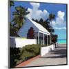 Conch Republic 1-Rick Novak-Mounted Art Print