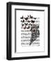 Conch Shell and Butterflies-Fab Funky-Framed Art Print