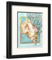 Conch Shell and Coral-Lori Schory-Framed Art Print