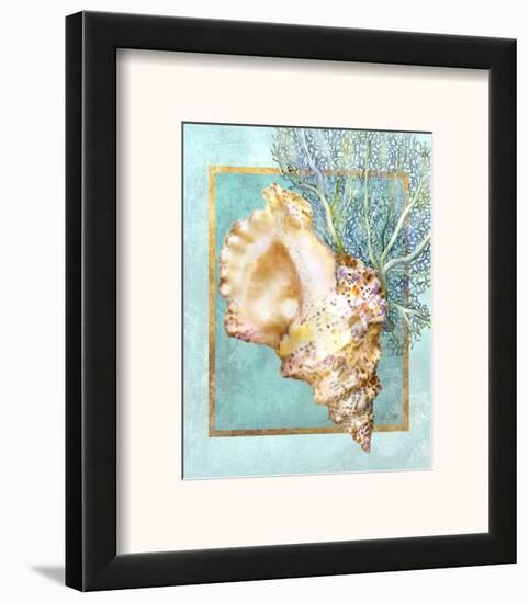 Conch Shell and Coral-Lori Schory-Framed Art Print