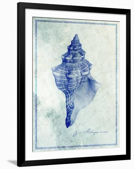 Conch Shell B-GI ArtLab-Framed Giclee Print