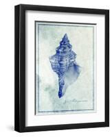 Conch Shell B-GI ArtLab-Framed Giclee Print