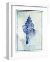 Conch Shell B-GI ArtLab-Framed Giclee Print