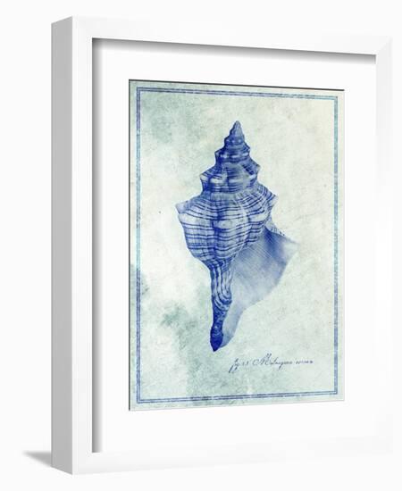 Conch Shell B-GI ArtLab-Framed Giclee Print