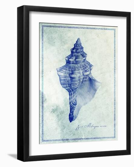 Conch Shell B-GI ArtLab-Framed Giclee Print